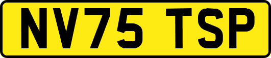NV75TSP
