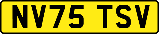 NV75TSV