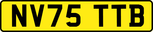 NV75TTB