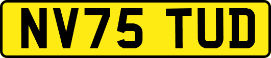 NV75TUD