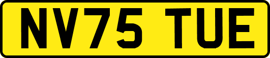 NV75TUE