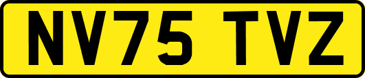 NV75TVZ