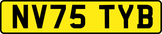 NV75TYB