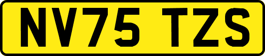 NV75TZS