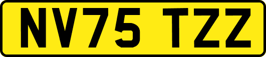 NV75TZZ