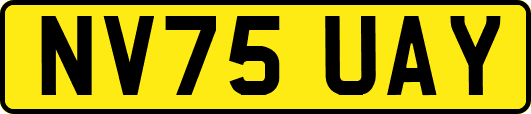 NV75UAY