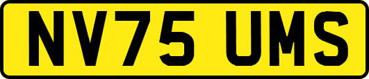 NV75UMS