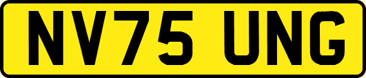 NV75UNG