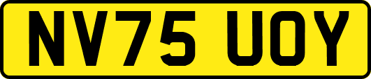 NV75UOY