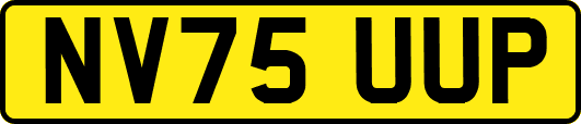 NV75UUP