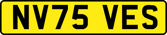 NV75VES