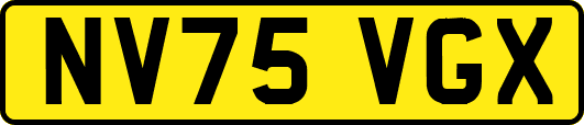 NV75VGX