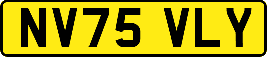 NV75VLY