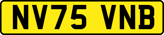 NV75VNB