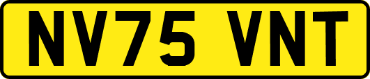 NV75VNT
