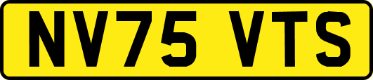 NV75VTS