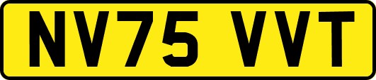 NV75VVT