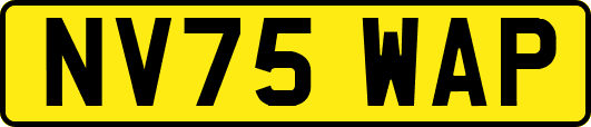 NV75WAP