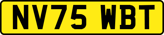 NV75WBT