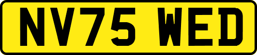 NV75WED