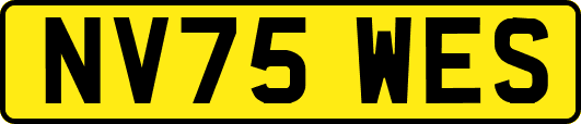 NV75WES