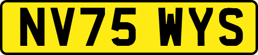 NV75WYS