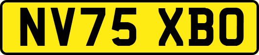 NV75XBO