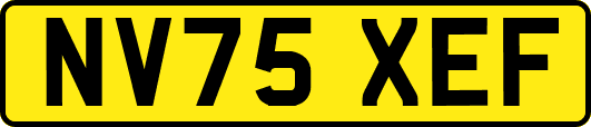 NV75XEF