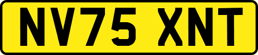 NV75XNT