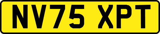 NV75XPT