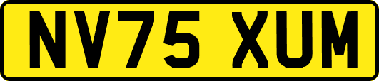 NV75XUM