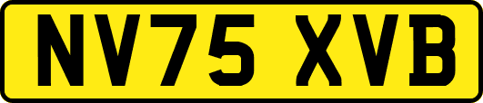 NV75XVB