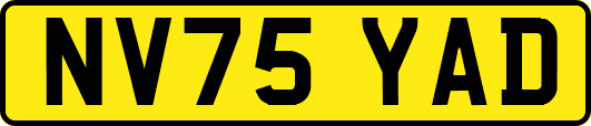 NV75YAD