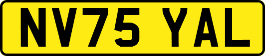 NV75YAL