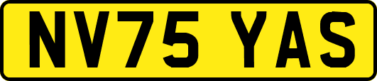NV75YAS