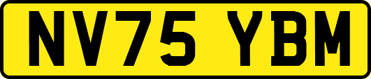 NV75YBM