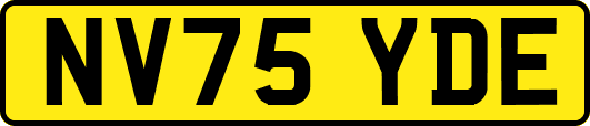 NV75YDE
