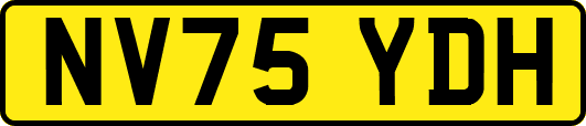 NV75YDH
