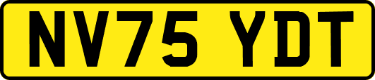 NV75YDT