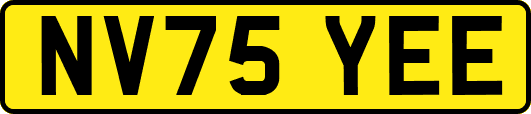 NV75YEE