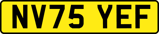NV75YEF