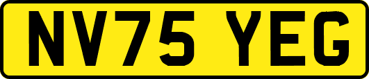 NV75YEG
