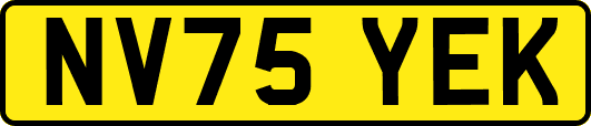 NV75YEK