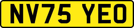 NV75YEO