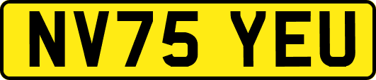 NV75YEU