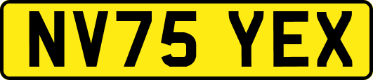 NV75YEX