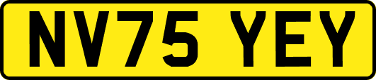 NV75YEY