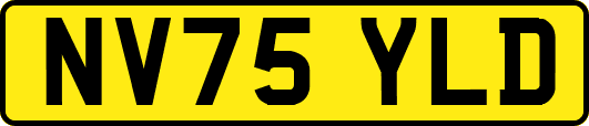 NV75YLD