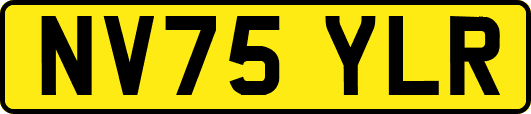 NV75YLR