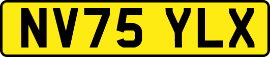 NV75YLX